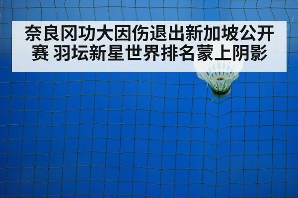 奈良冈功大因伤退出新加坡公开赛 羽坛新星世界排名蒙上阴影