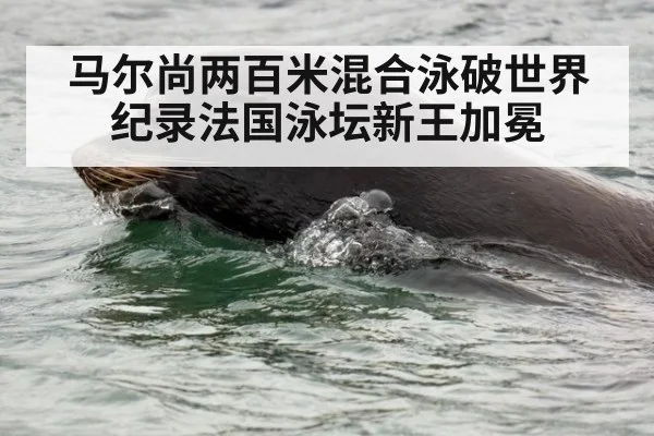 马尔尚两百米混合泳破世界纪录法国泳坛新王加冕